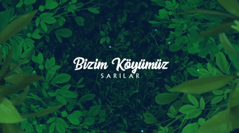 bk-sarılar