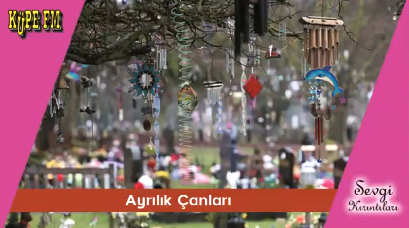 jingle-canlar